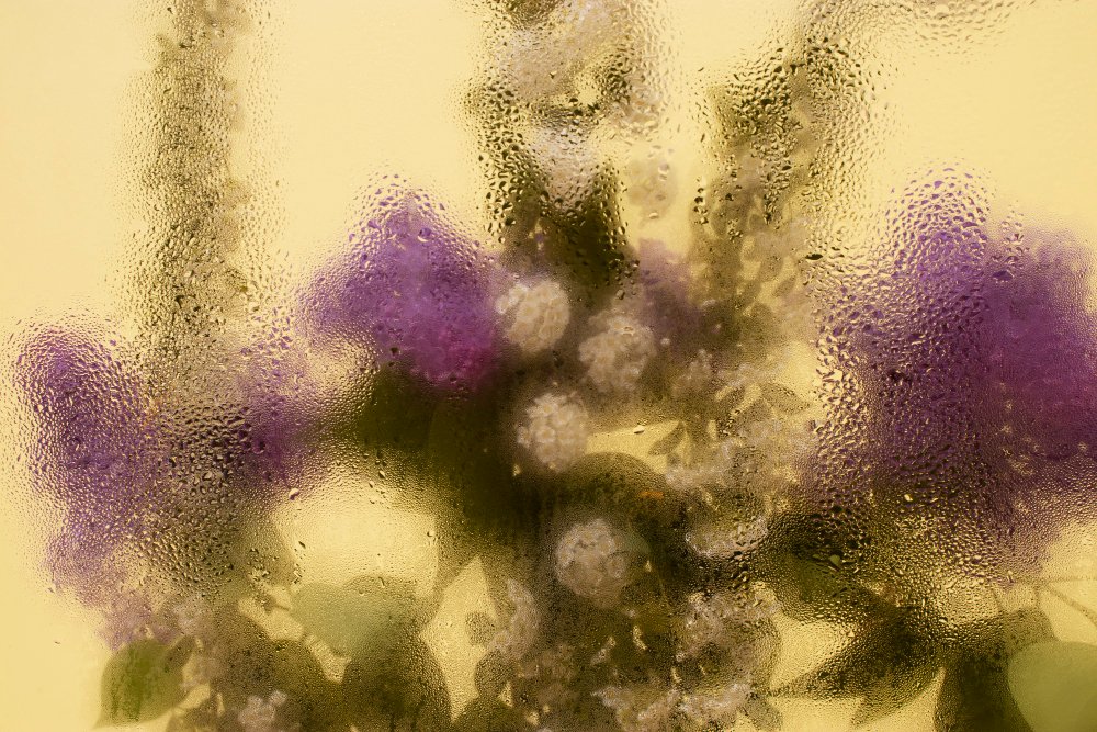 Acid Etched Glass Products