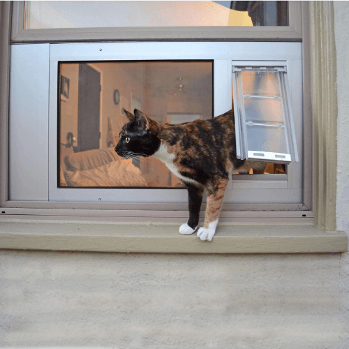 Glass Mounted Pet Doors