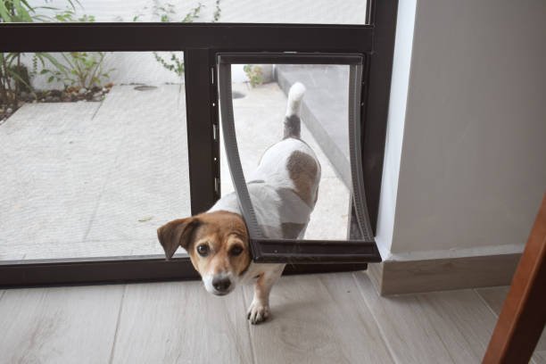Pet doors and Pet Flaps Dubai