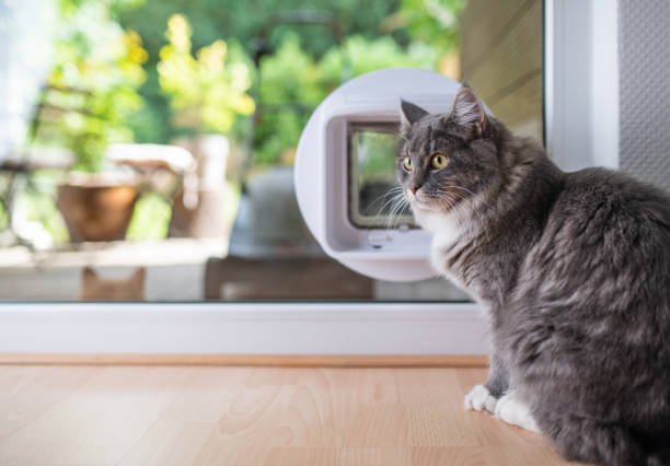 Pet doors and Pet Flaps