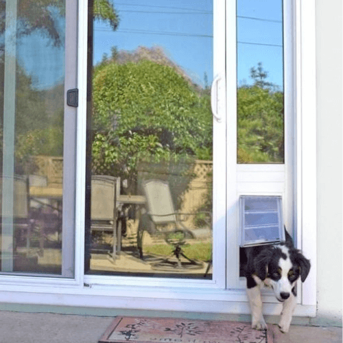 Sliding Pet Glass Doors Inserts